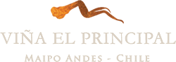 Thương hiệu Rượu Vang Chile Vina El Principal